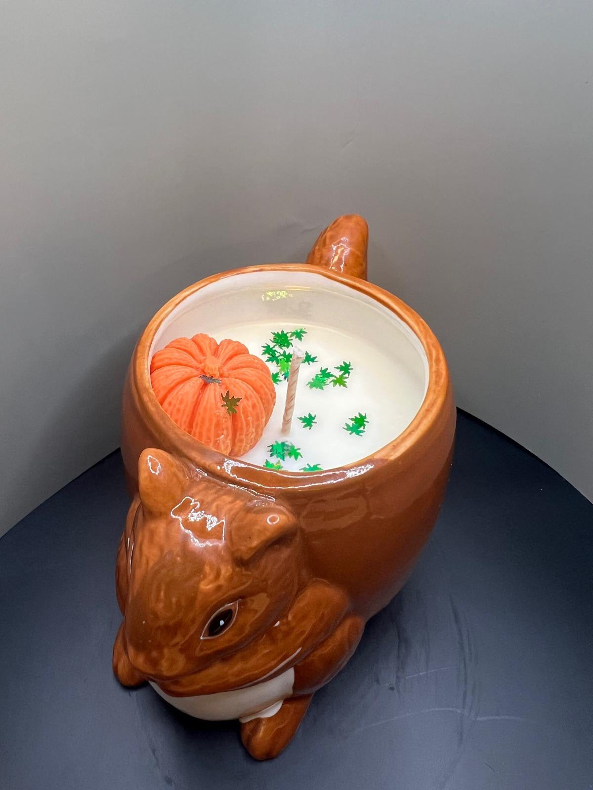 Autumn Squirrel